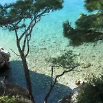 Mare Brela