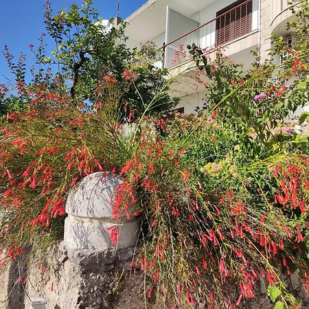 Mare Apartment Brela