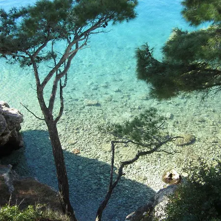 Mare Brela