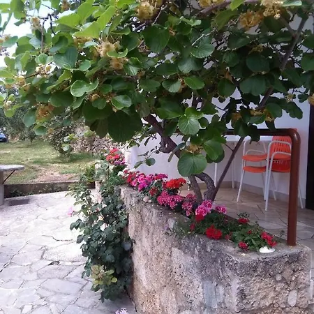 Mare Apartmán Brela