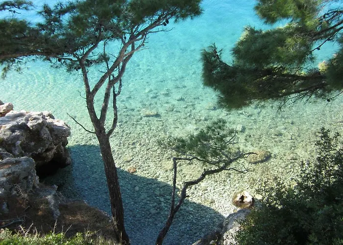 Mare Brela
